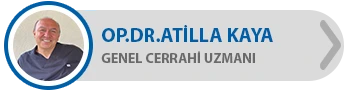dr. atilla kaya